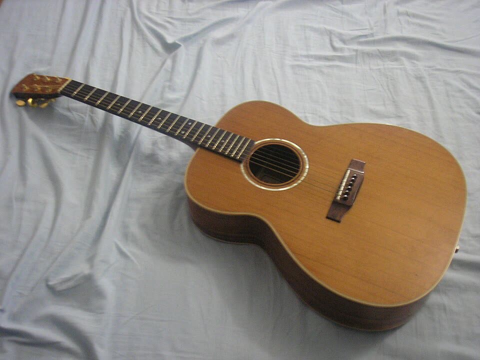 Guitar