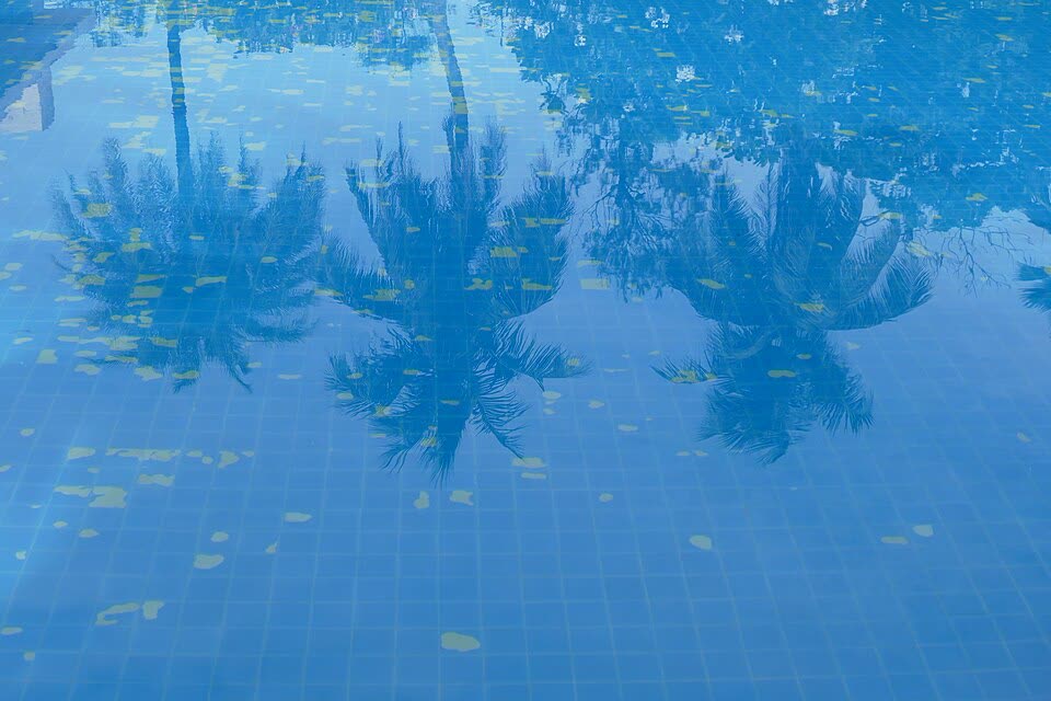 Swimming